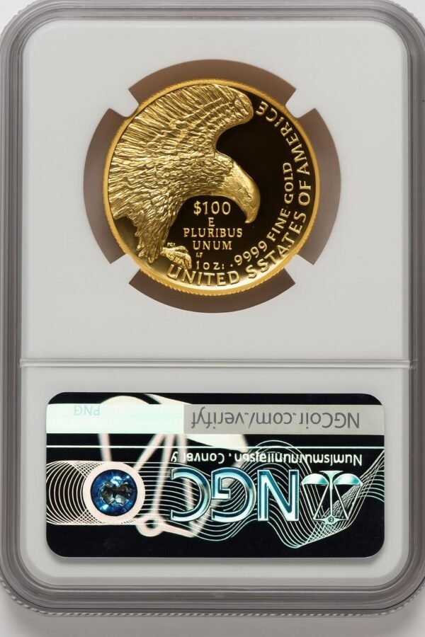 2019-W G$100 American Liberty High Relief Enhanced UC Bunting Flag NGC MS70 - Image 2
