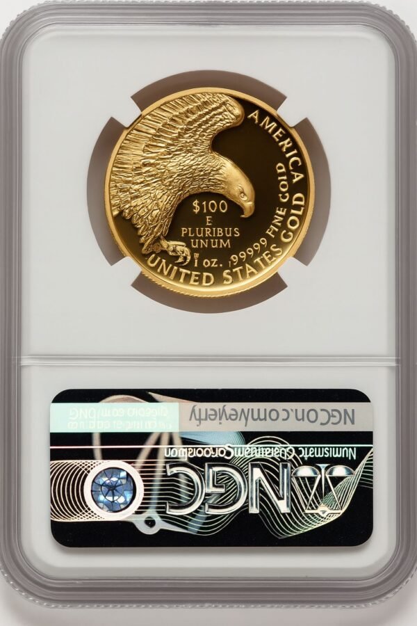 2019-W G$100 American Liberty High Relief Enhanced UC Mike Castle NGC MS70 (521292048) - Image 2