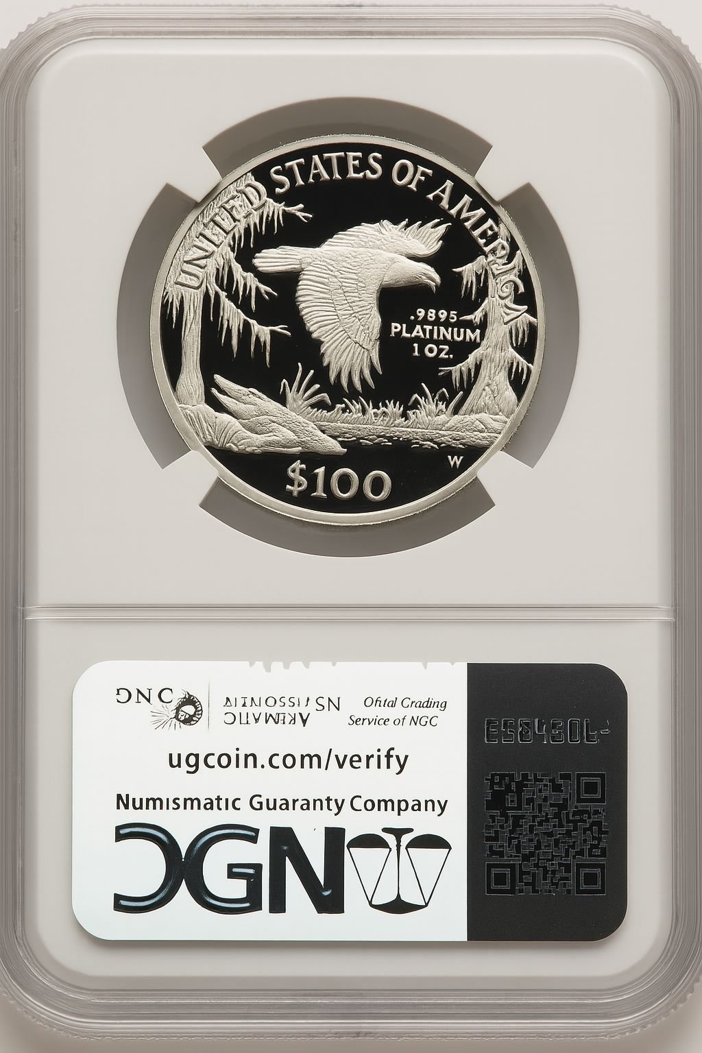 1999-W $100 One-Ounce Platinum Eagle Statue of Liberty Brown Label NGC PF70 (520684104) - Image 2