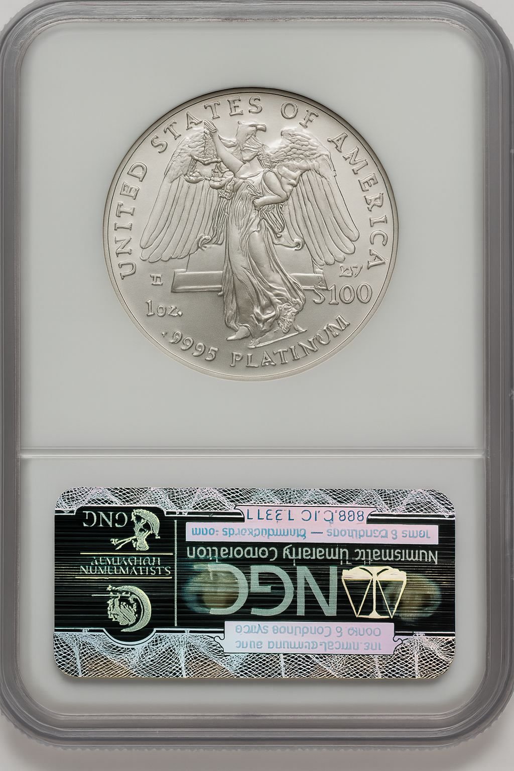 2008-W $100 One-Ounce Platinum Eagle NGC MS70 (519589017) - Image 2