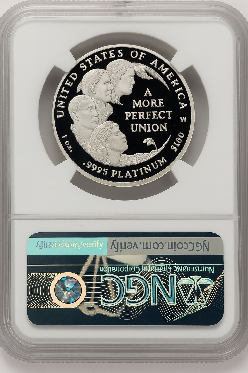 2009-W $100 One-Ounce Platinum Eagle Mike Castle NGC PF70 (771248007) - Image 2