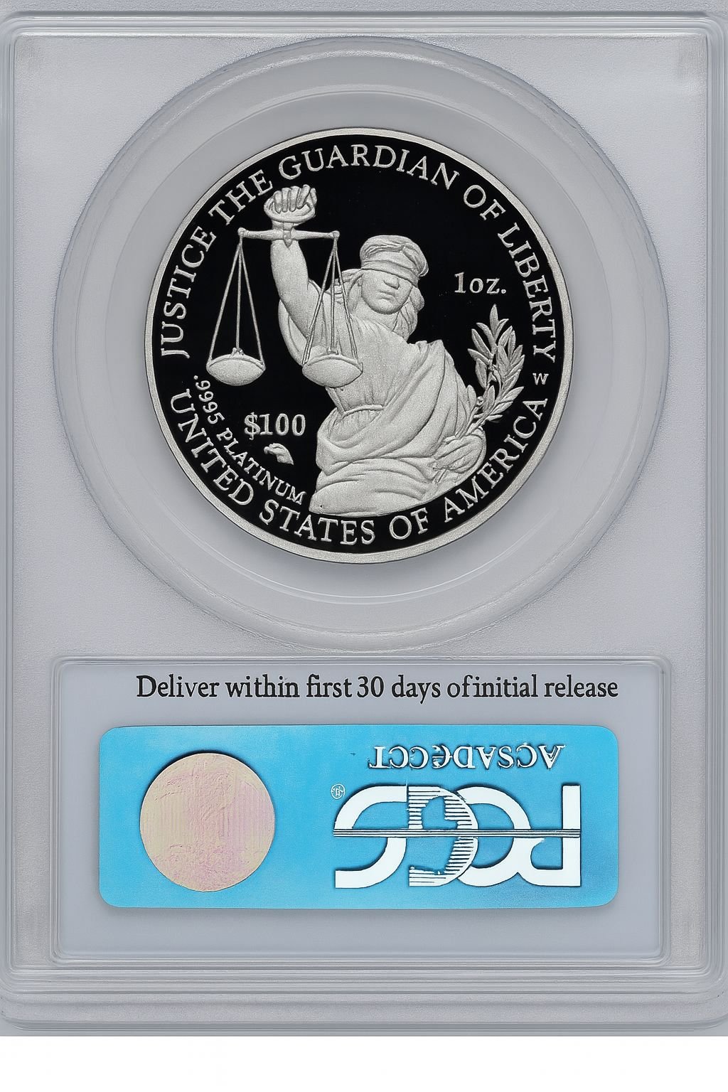 2010-W $100 One-Ounce Platinum Eagle Statue of Liberty FS Flag PCGS PR70 - Image 2