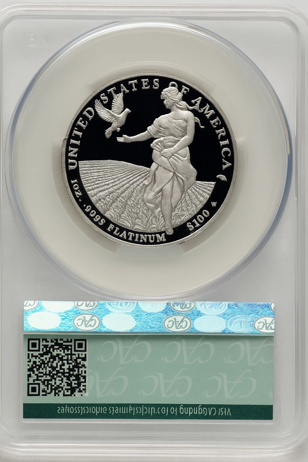 2011-W $100 One-Ounce Platinum Eagle First Strike First Delivery CACG PR70 - Image 2