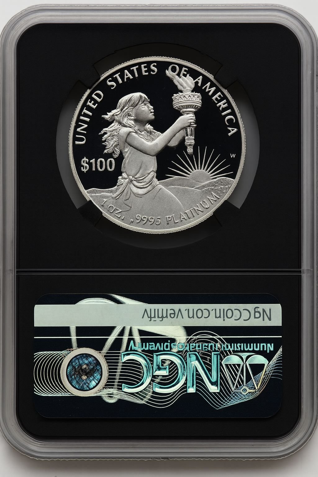 2014-W $100 One-Ounce Platinum Eagle NGCX PF10 - Image 2