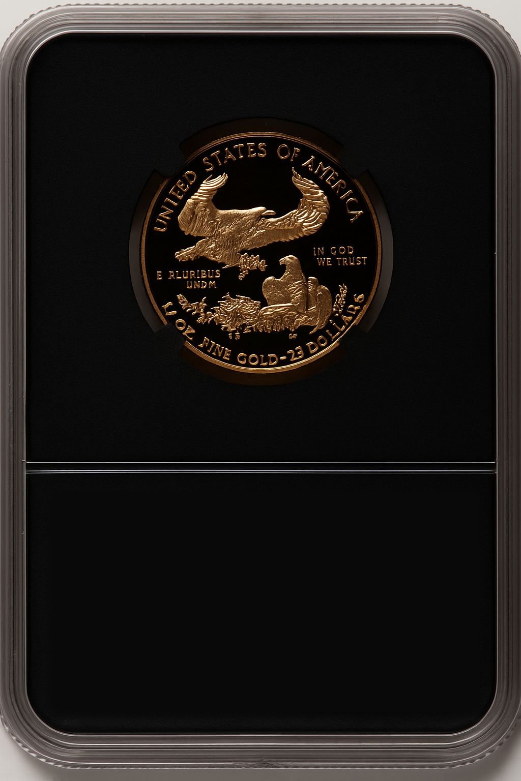 2002-W $25 Half-Ounce Gold Eagle Miles Standish NGC PF70 - Image 2